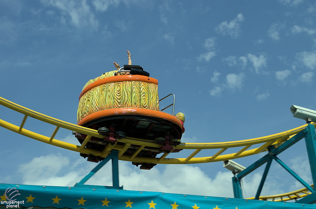 Crazy Mouse