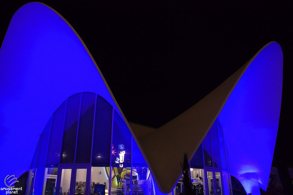Neon Museum