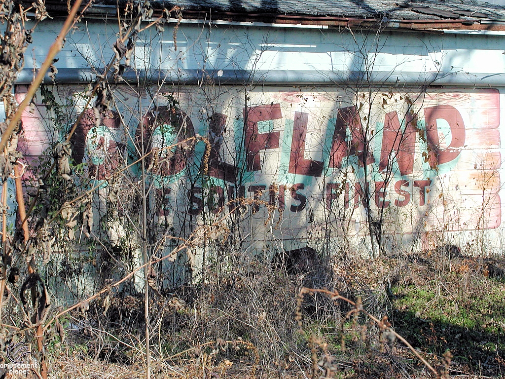 Playland Park