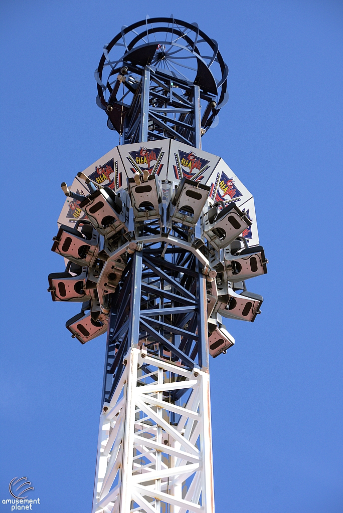 Freefall