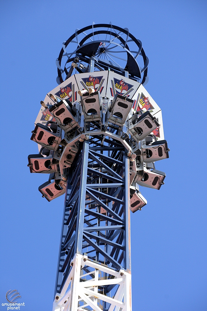 Freefall