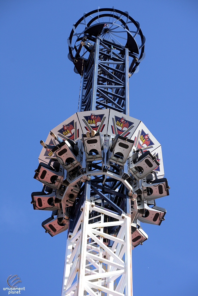 Freefall
