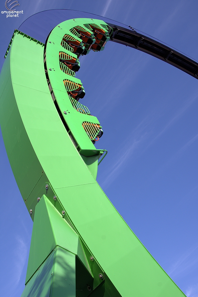 Village Vortex