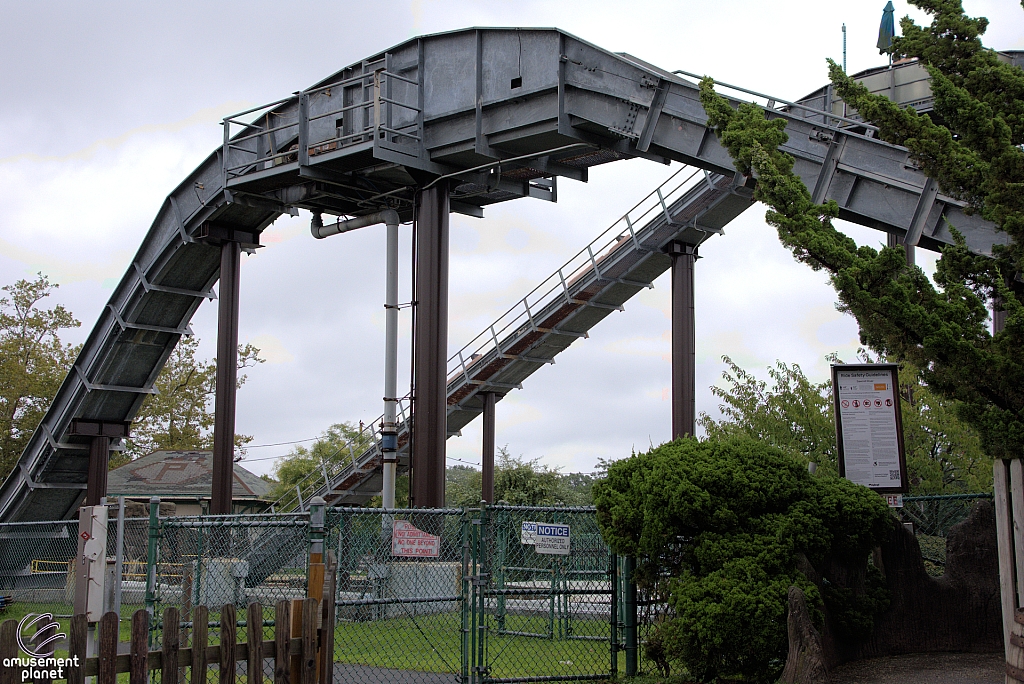 Log Flume