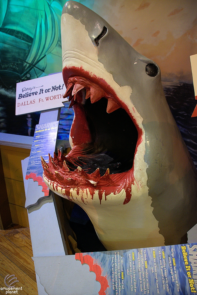 Ripley's Believe It or Not!