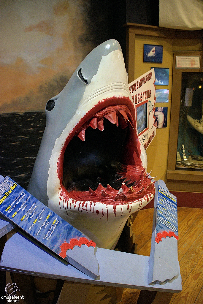 Ripley's Believe It or Not!