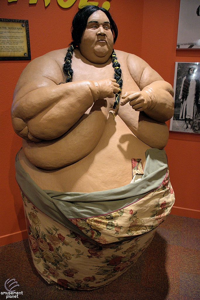 Ripley's Believe It or Not!
