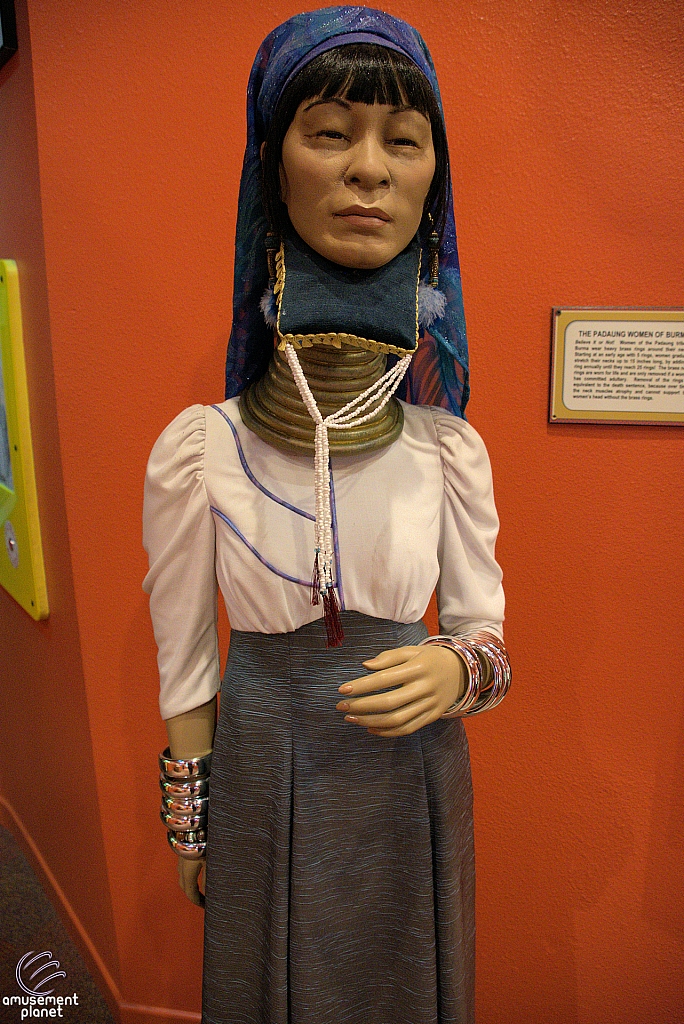 Ripley's Believe It or Not!