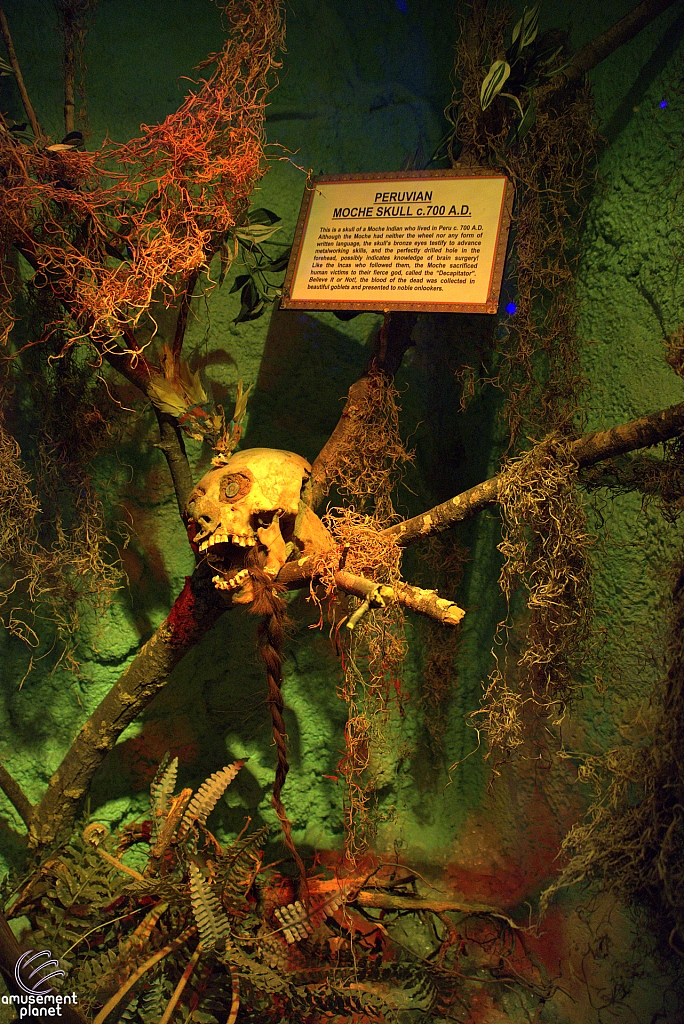 Ripley's Believe It or Not!