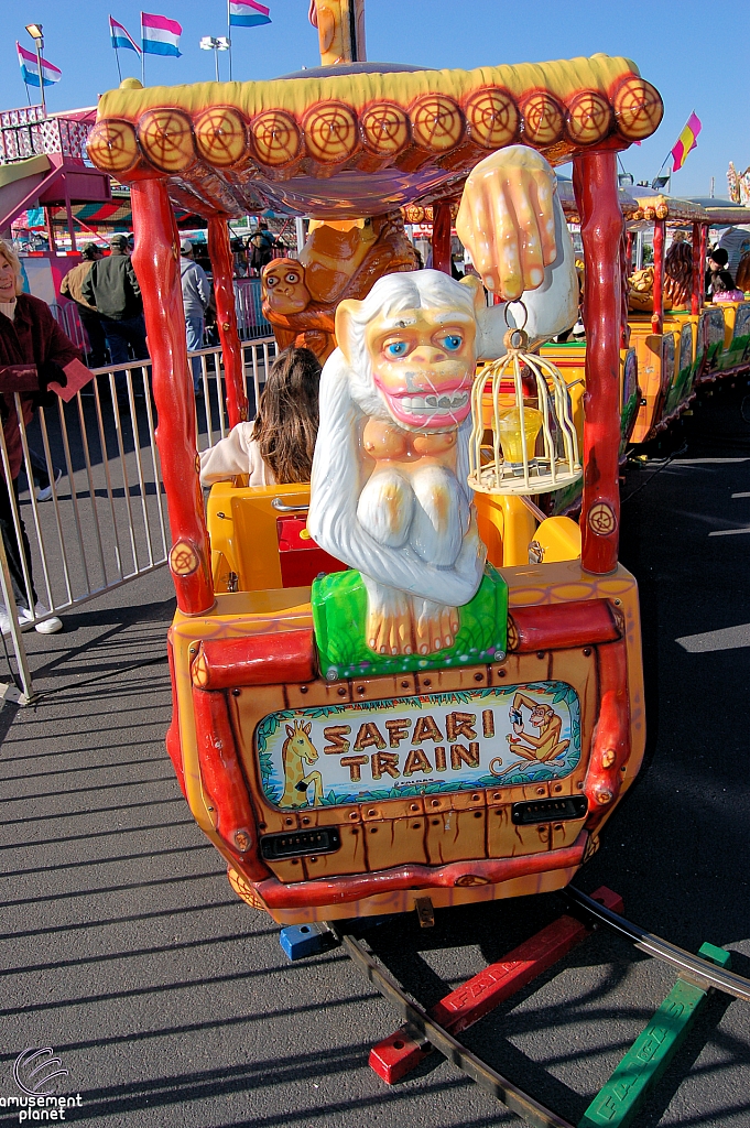 Safari Train