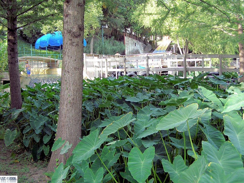 Schlitterbahn West