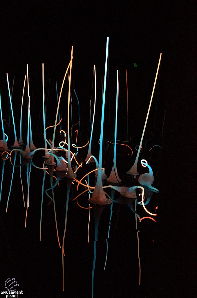 Chihuly Garden and Glass