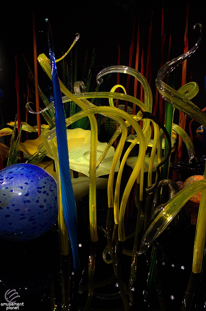 Chihuly Garden and Glass