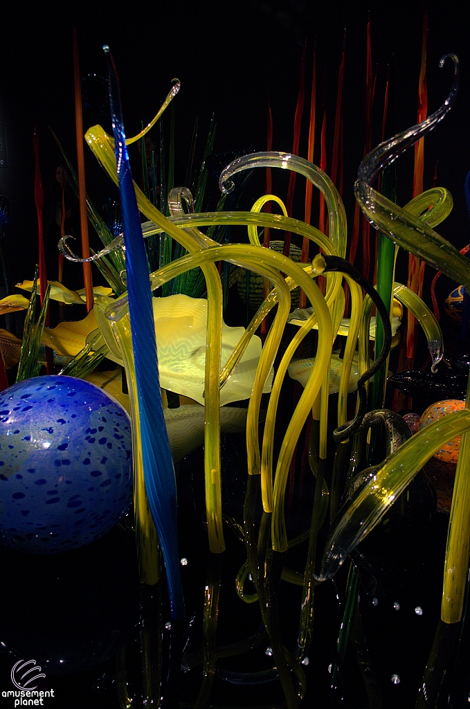 Chihuly Garden and Glass