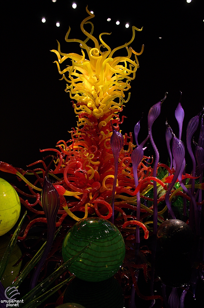 Chihuly Garden and Glass