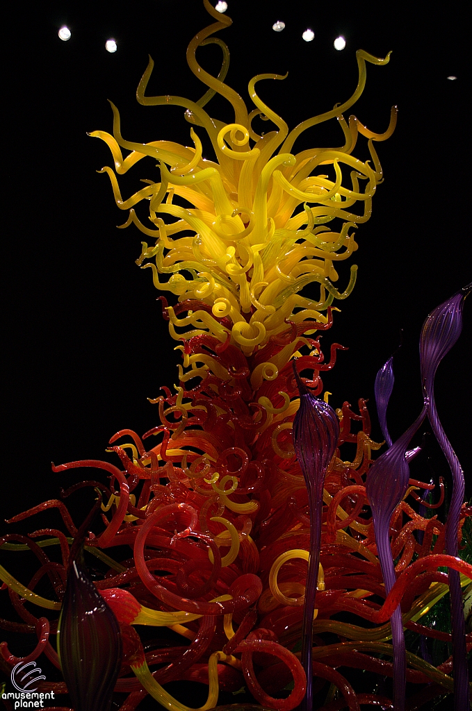 Chihuly Garden and Glass