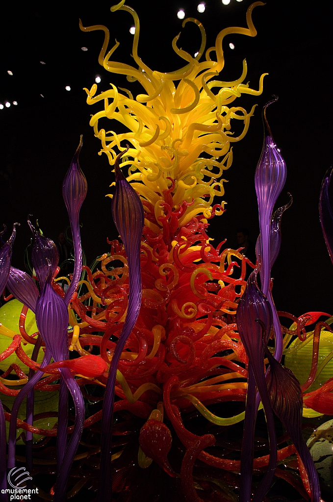 Chihuly Garden and Glass