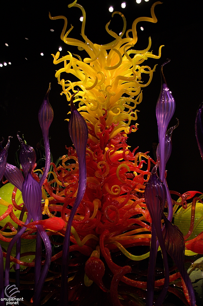 Chihuly Garden and Glass