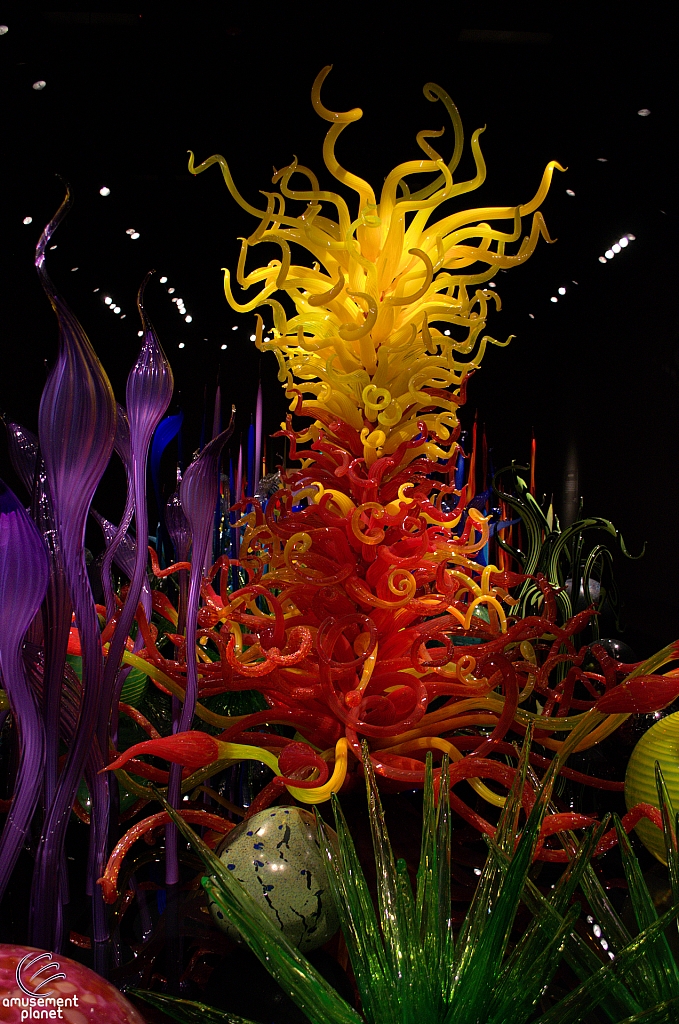 Chihuly Garden and Glass