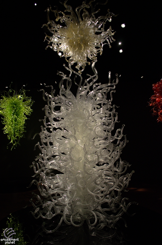 Chihuly Garden and Glass