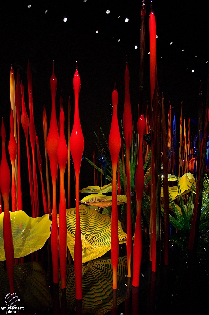 Chihuly Garden and Glass