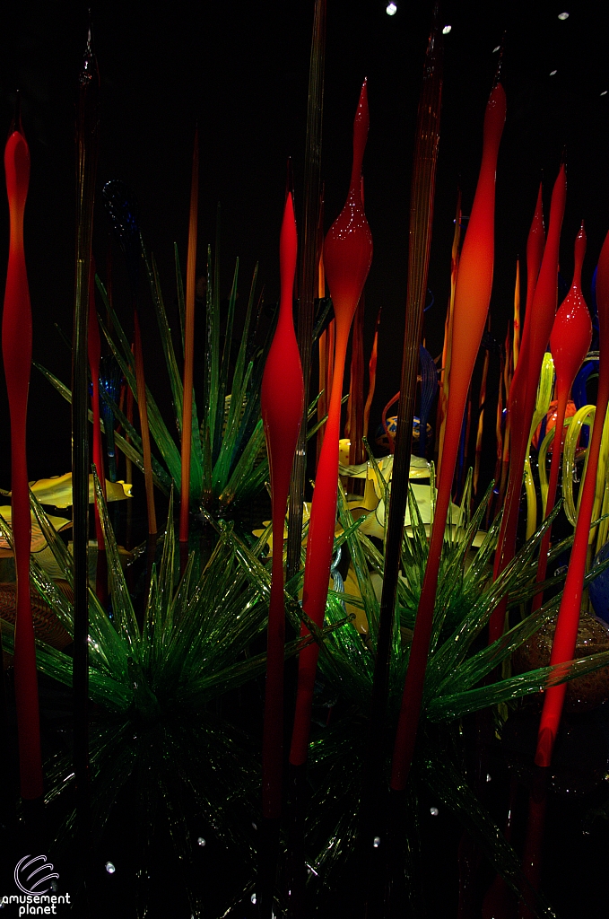 Chihuly Garden and Glass