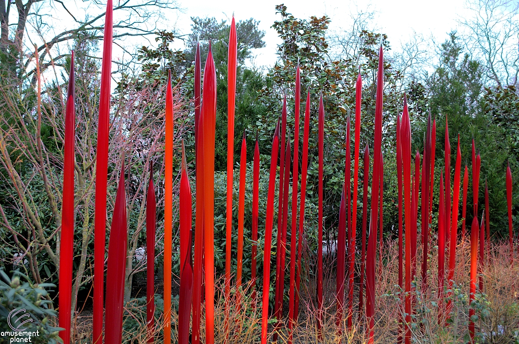 Chihuly Garden and Glass