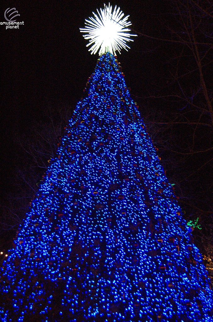 Silver Dollar City
