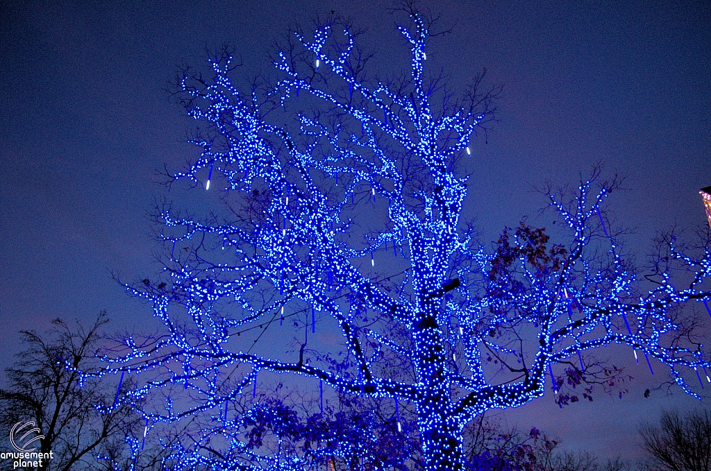 Silver Dollar City