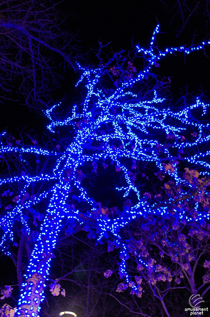 Silver Dollar City