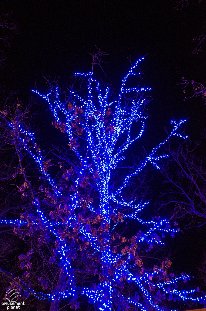 Silver Dollar City