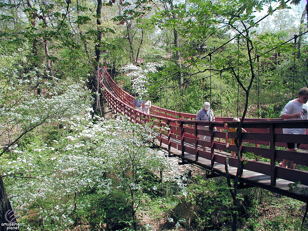Miller's Bridge