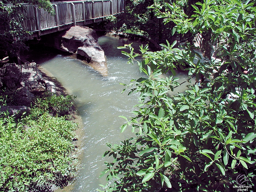 American Plunge