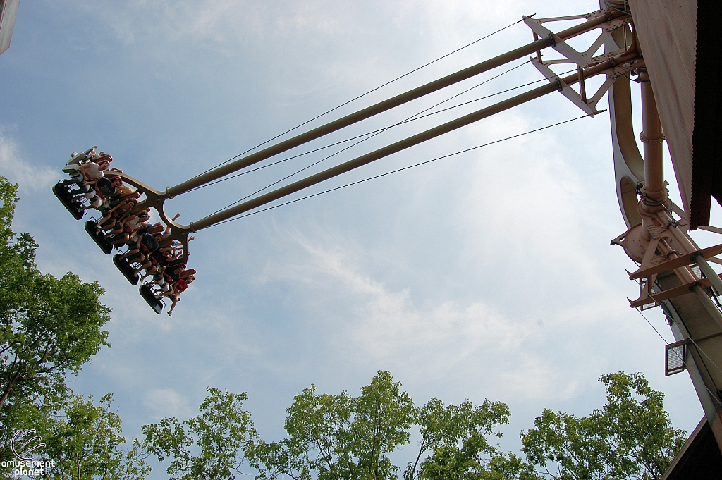 Giant Barn Swing