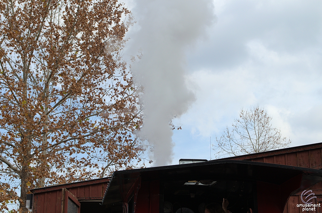 Frisco Silver Dollar Line Steam Train