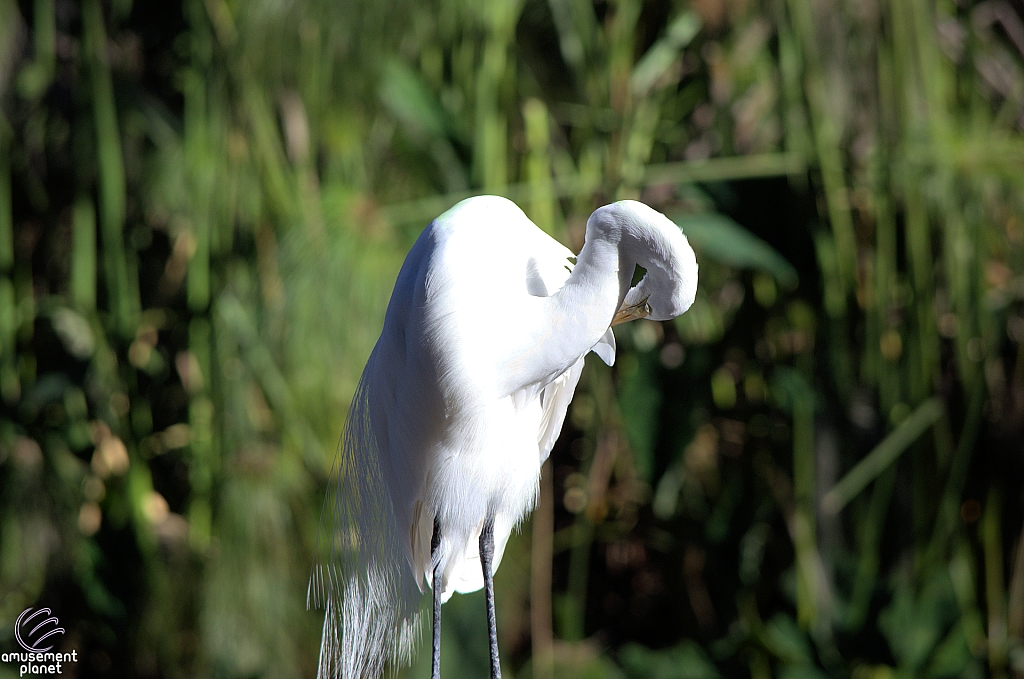 San Diego Zoo