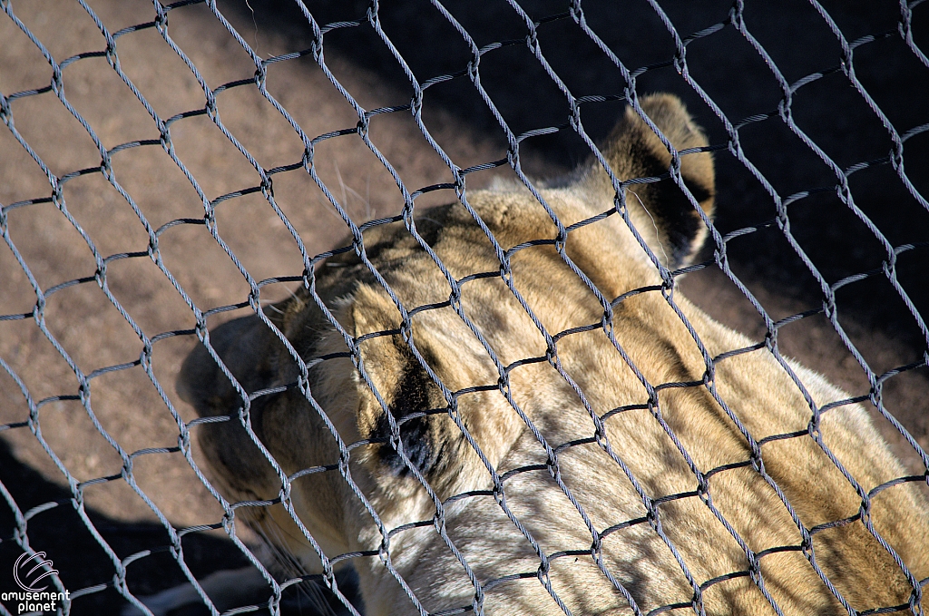 San Diego Zoo