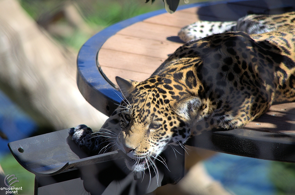 San Diego Zoo