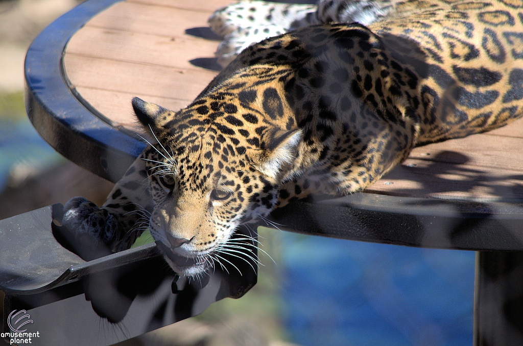 San Diego Zoo