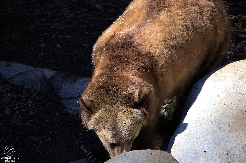 San Diego Zoo