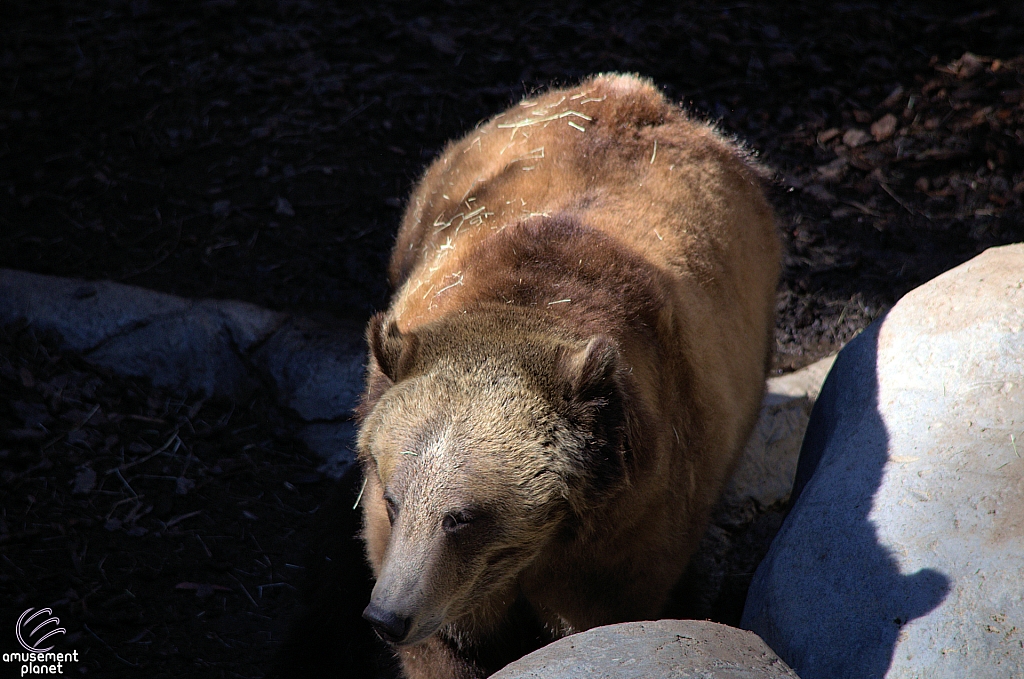 San Diego Zoo