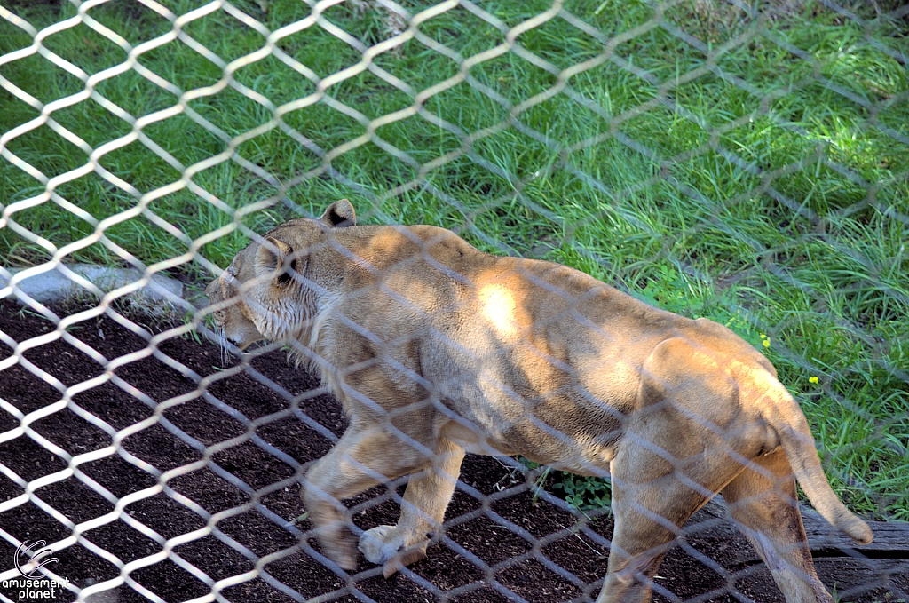 San Diego Zoo