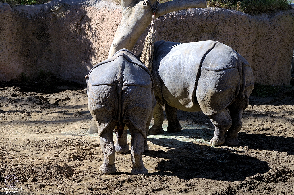 San Diego Zoo