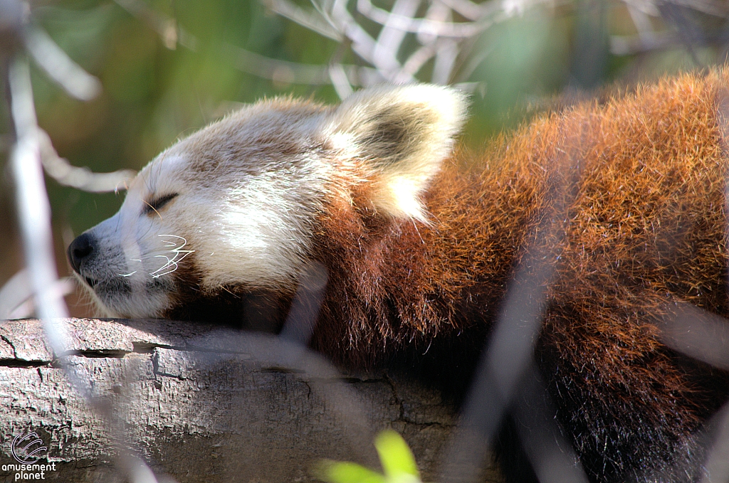 San Diego Zoo