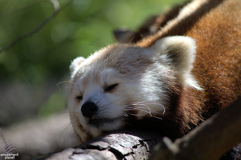 San Diego Zoo