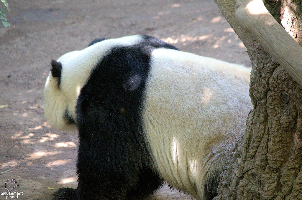 San Diego Zoo