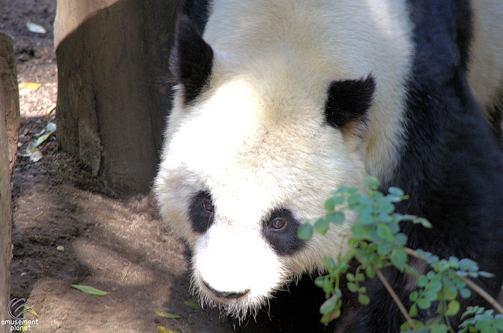 San Diego Zoo