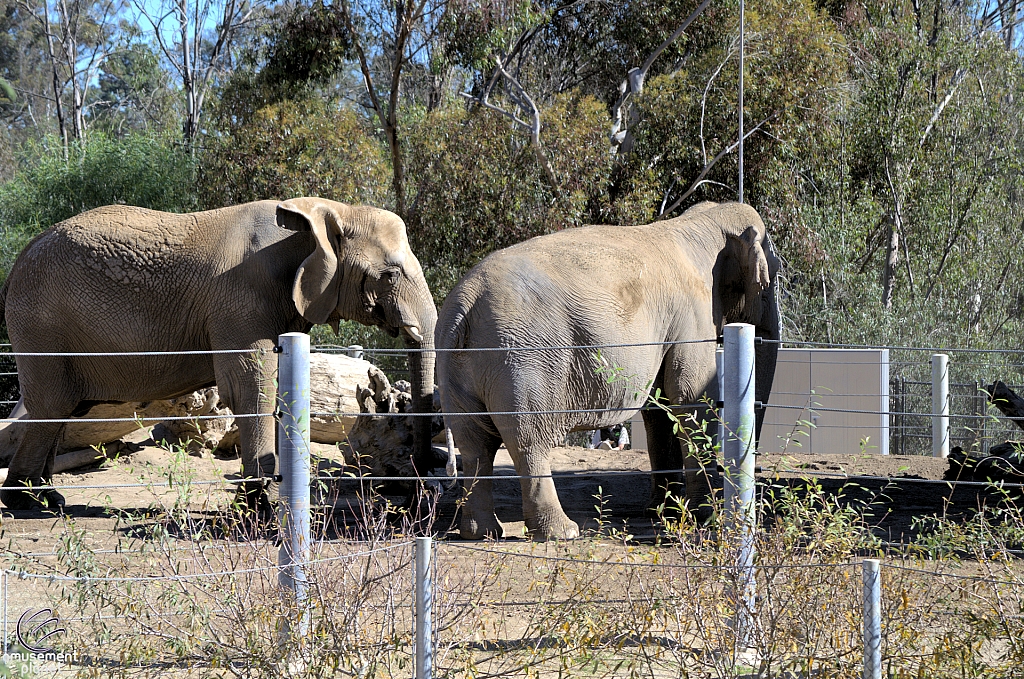 San Diego Zoo