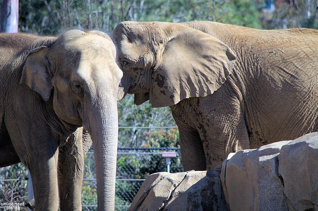 San Diego Zoo