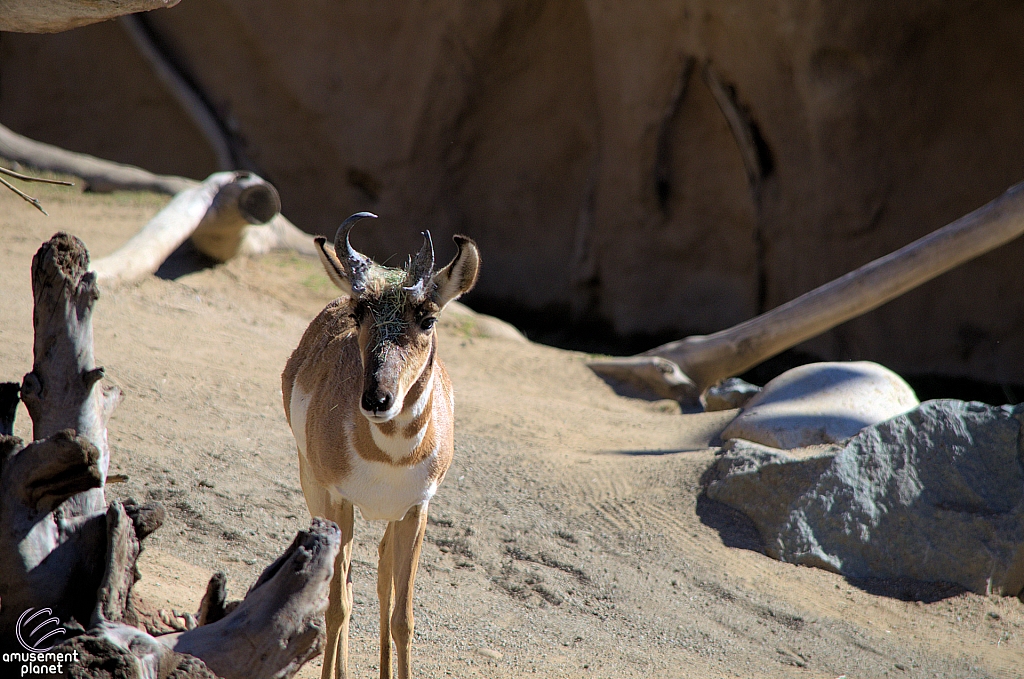 San Diego Zoo